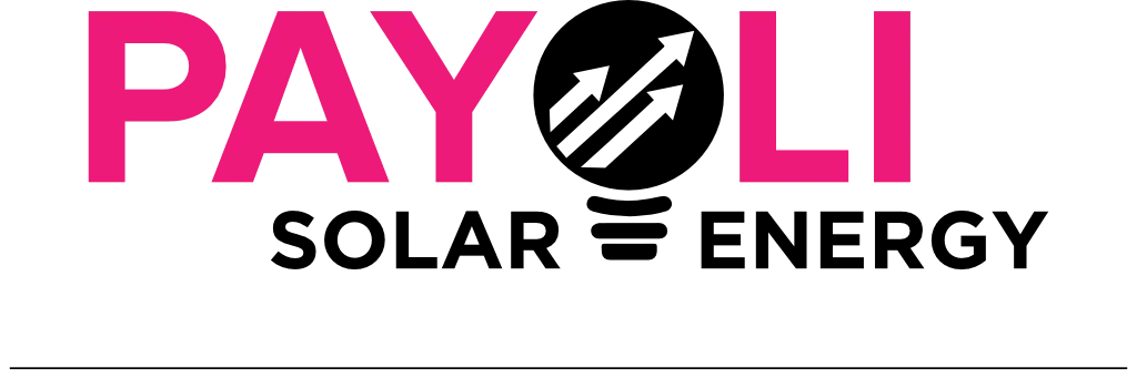 Pink PAYOLI logo on a black background, featuring a patterned circular 'O' and "2014-2024" below.